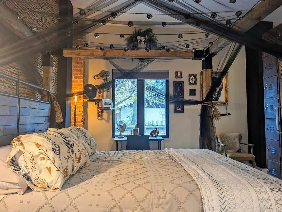 Lejlighed Cozy Af Steel-Rose Studio Tampa